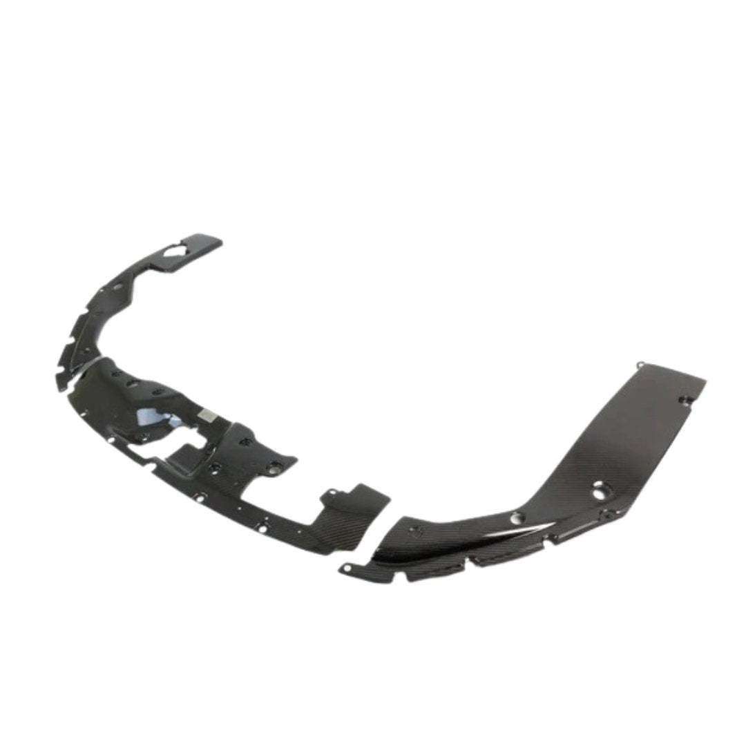 APR Carbon Fiber Radiator Cooling Plate | 17 - 21 Civic Type R FK8 - Unity Performance