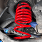 AST Lowering Springs | 17 - 23+ Civic Type R FK8 & FL5, 23+ Integra Type S DE5 - Unity Performance