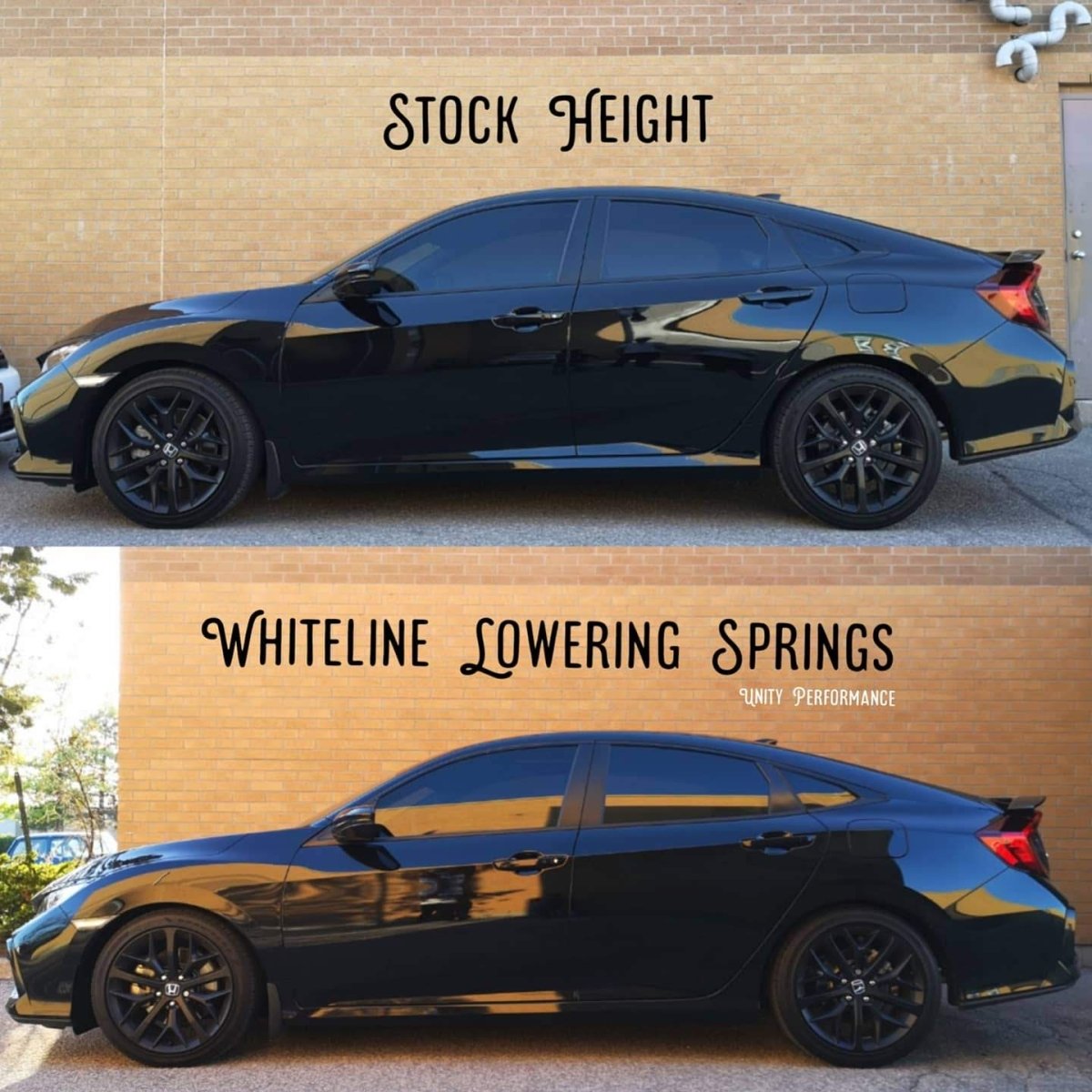 Whiteline Lowering Springs | 16 - 22+ Civic, 23+ Integra - Unity Performance